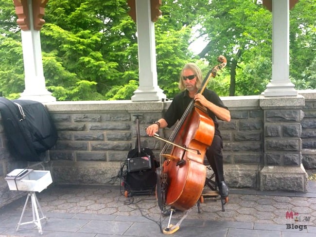 musician in Central park