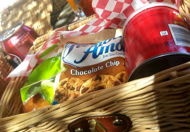 picnic lunch