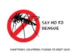 Catch The Symptoms Of Dengue Early And Save Your Family