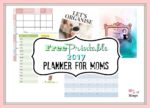 Free Printable Planner For 2017 Specially Designed For Moms