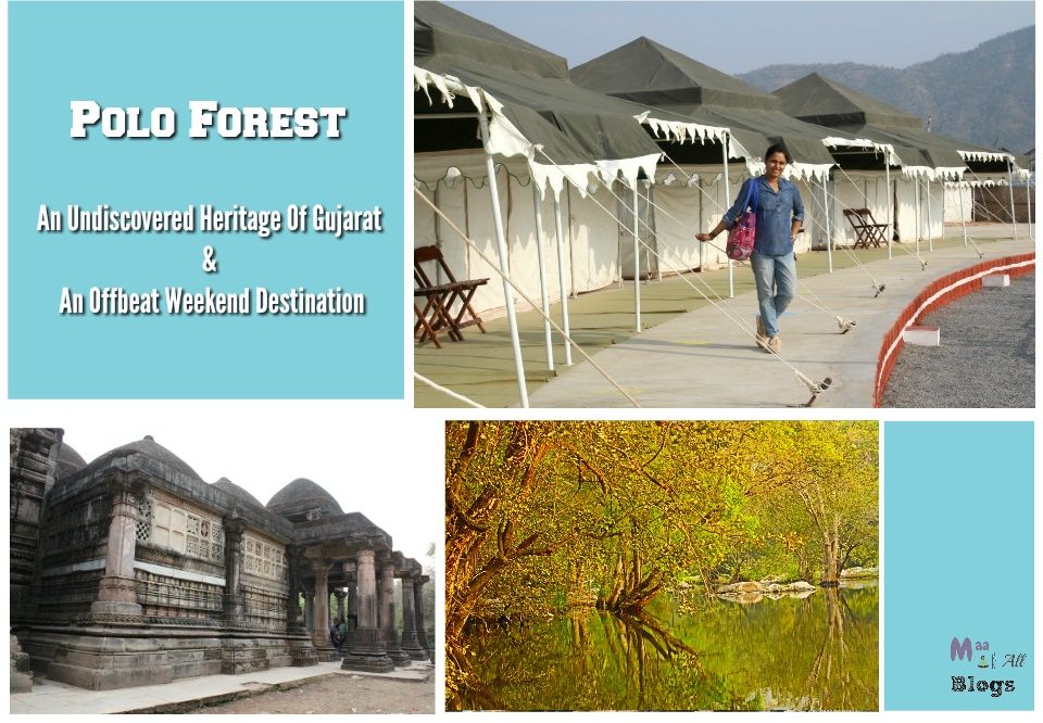 Polo Forest – A Forgotten Heritage Of Gujarat And An Offbeat Weekend Destination